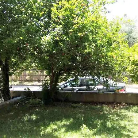 Rose Garden Apartment
